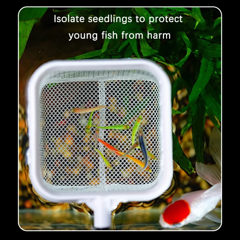 STAINLESS STEEL TELESCOPIC FISHING NET FOR AQUARIUMS - Image 11