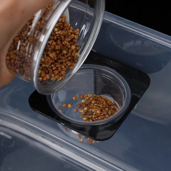 REPTILE FEEDER WITH SUCTION CUP AND BOWL FOR FOOD & WATER - Image 12