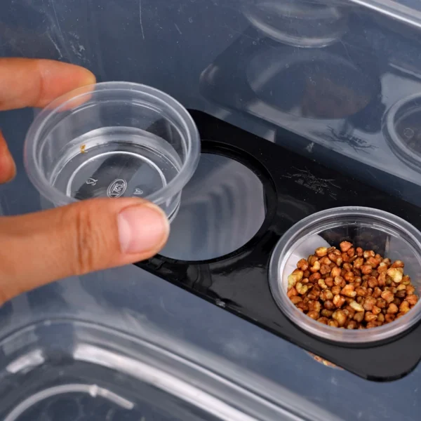 REPTILE FEEDER WITH SUCTION CUP AND BOWL FOR FOOD & WATER - Image 3