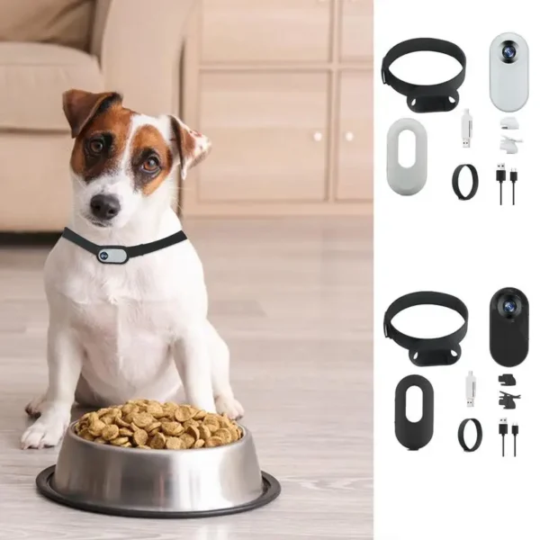 DOG CAMERA COLLAR 1080P WIRELESS NO WIFI REQUIRED - Image 2