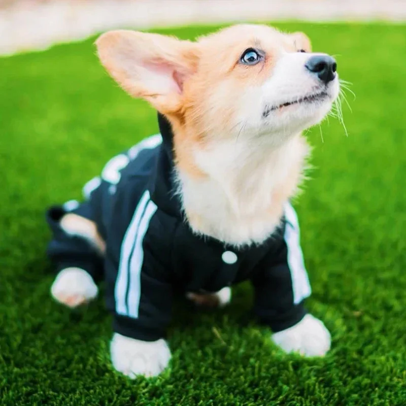 DOG HOODIE JUMPSUIT – COZY, STYLISH & FUNCTIONAL - Image 2