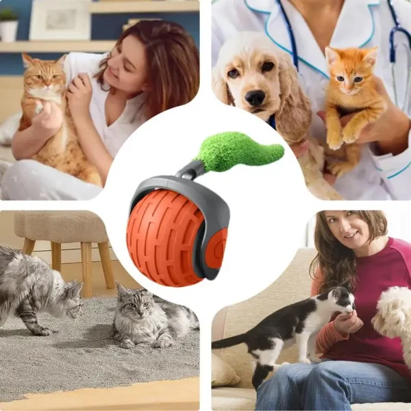 ELECTRIC INTERACTIVE CAT BALL TOY - Image 5