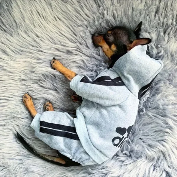 DOG HOODIE JUMPSUIT – COZY, STYLISH & FUNCTIONAL