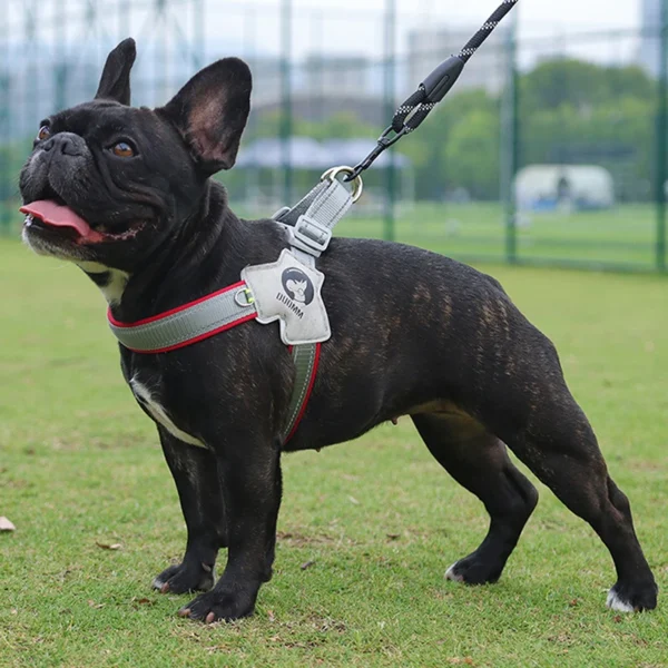 Dog Harness for Small Medium Dogs - Image 3