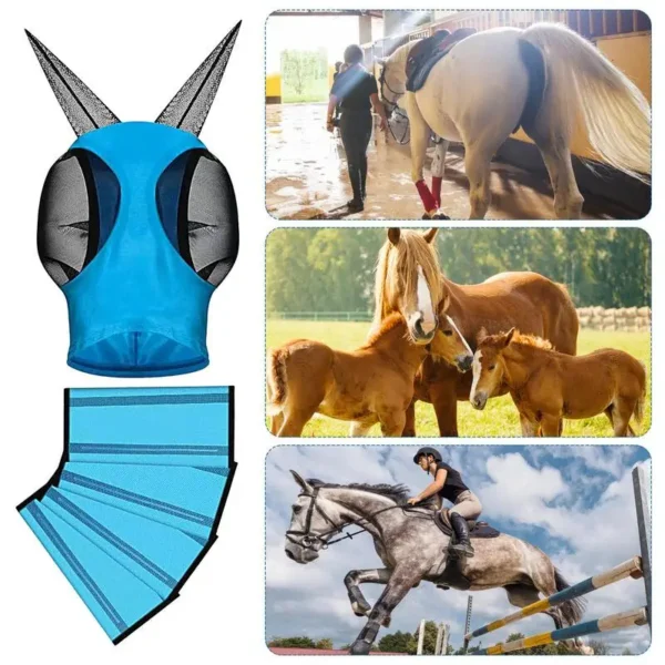 HORSE LEGS GUARD – ESSENTIAL PROTECTION FOR COMPETITION AND TRAINING - Image 2