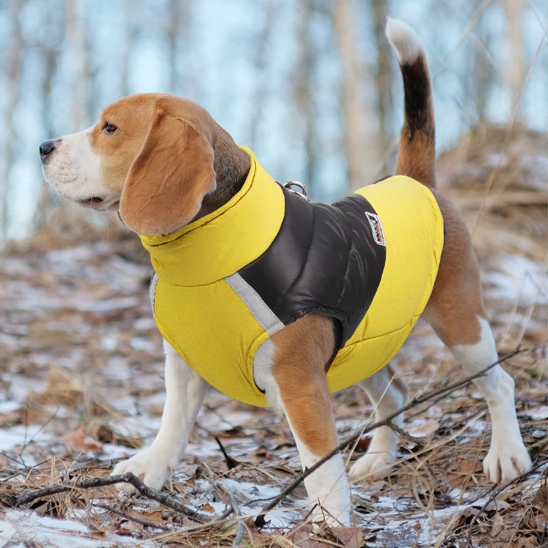 Winter Waterproof Warm Dog Clothes - Image 2