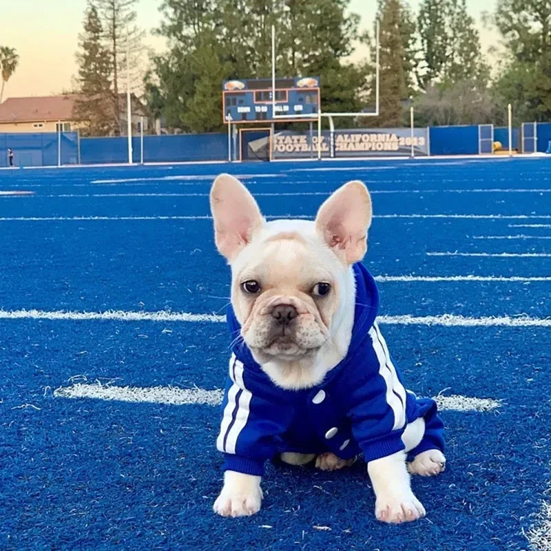 DOG HOODIE JUMPSUIT – COZY, STYLISH & FUNCTIONAL - Image 5