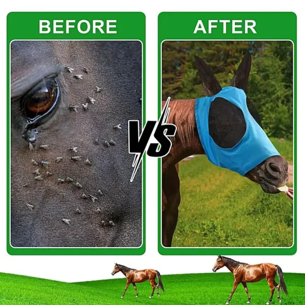 HORSE LEGS GUARD – ESSENTIAL PROTECTION FOR COMPETITION AND TRAINING - Image 4