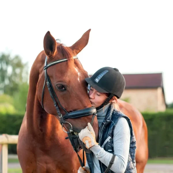 2024 NEW THICKENED METAL HORSE COMB – DURABLE MANE AND TAIL GROOMING TOOL - Image 5