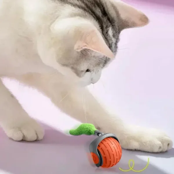 ELECTRIC INTERACTIVE CAT BALL TOY - Image 2