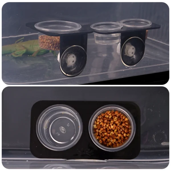 REPTILE FEEDER WITH SUCTION CUP AND BOWL FOR FOOD & WATER - Image 5