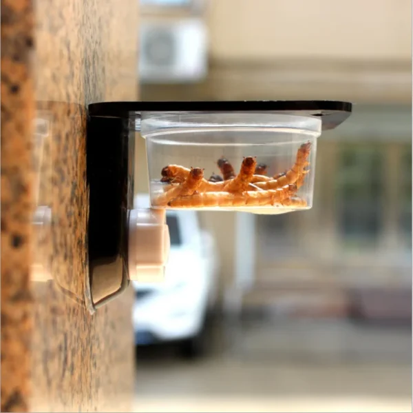 REPTILE FEEDER WITH SUCTION CUP AND BOWL FOR FOOD & WATER - Image 10