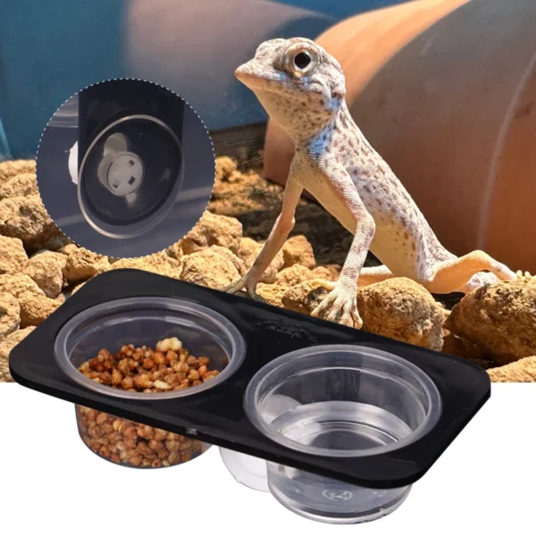REPTILE FEEDER WITH SUCTION CUP AND BOWL FOR FOOD & WATER - Image 6