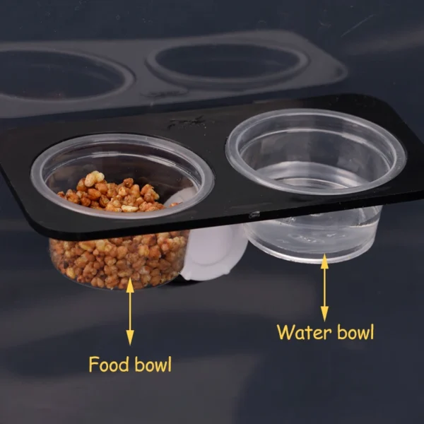 REPTILE FEEDER WITH SUCTION CUP AND BOWL FOR FOOD & WATER - Image 7