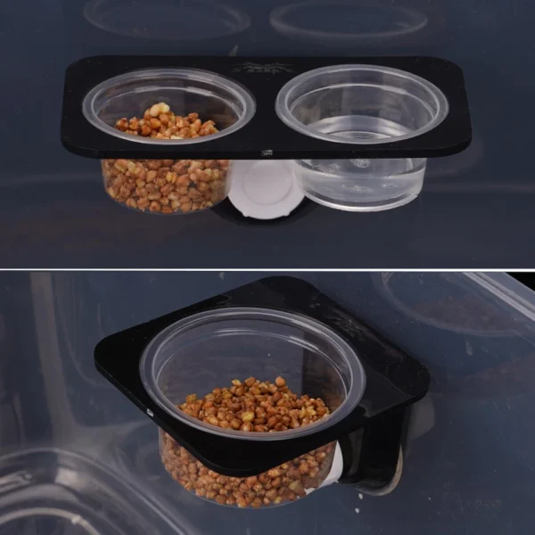 REPTILE FEEDER WITH SUCTION CUP AND BOWL FOR FOOD & WATER - Image 4