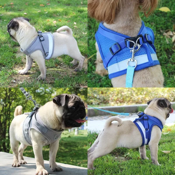 REFLECTIVE DOG HARNESS WITH LEASH – COMFORT AND SAFETY FOR YOUR PET! - Image 2