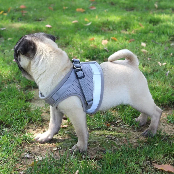 REFLECTIVE DOG HARNESS WITH LEASH – COMFORT AND SAFETY FOR YOUR PET! - Image 3