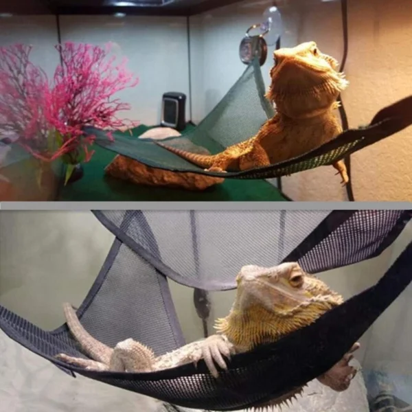 REPTILE HAMMOCK LOUNGER LADDER ACCESSORIES SET FOR BEARDED DRAGONS, ANOLE, GECKOS, LIZARDS, AND SNAKES