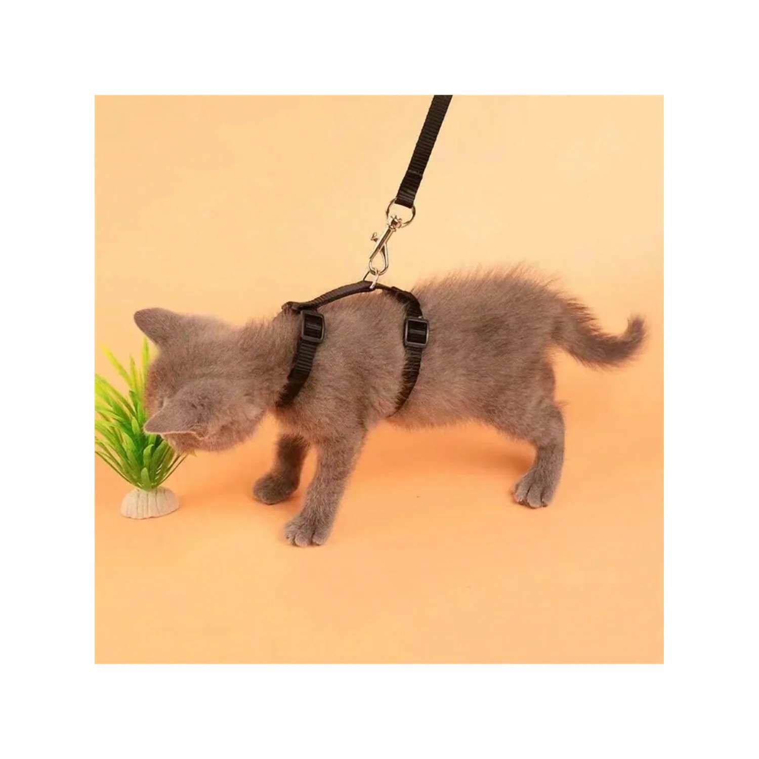 PET CAT HARNESS LEASH SET – COMFORTABLE AND SECURE FOR OUTDOOR ADVENTURES! - Image 2
