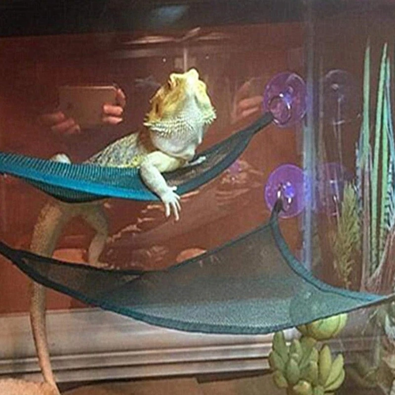 REPTILE HAMMOCK LOUNGER LADDER ACCESSORIES SET FOR BEARDED DRAGONS, ANOLE, GECKOS, LIZARDS, AND SNAKES - Image 2