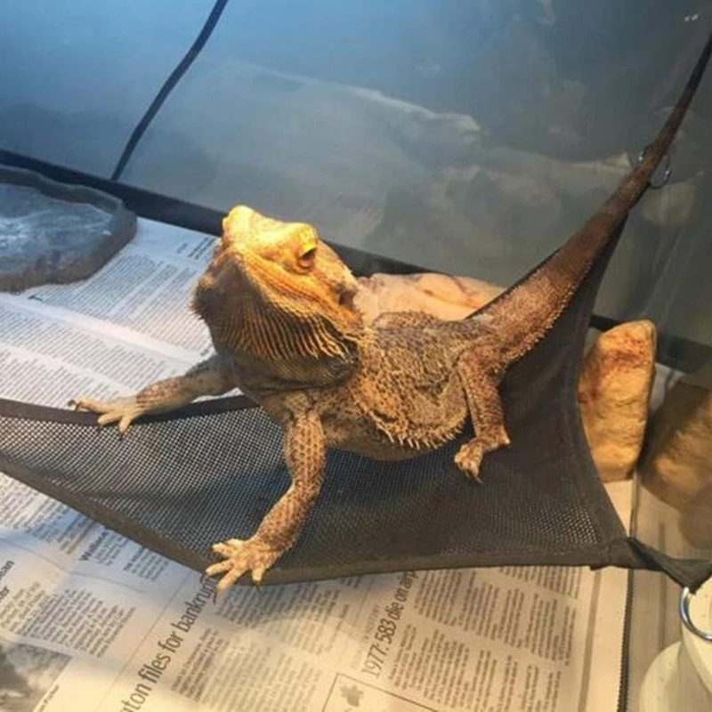 REPTILE HAMMOCK LOUNGER LADDER ACCESSORIES SET FOR BEARDED DRAGONS, ANOLE, GECKOS, LIZARDS, AND SNAKES - Image 4