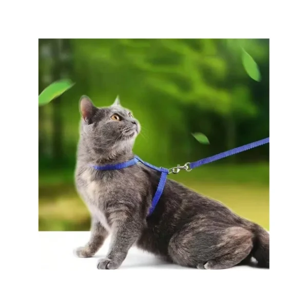 PET CAT HARNESS LEASH SET – COMFORTABLE AND SECURE FOR OUTDOOR ADVENTURES!