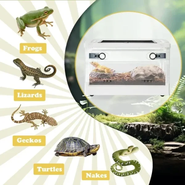 TRANSPARENT REPTILE BREEDING CAGE FOR LIZARDS AND AMPHIBIANS - Image 5