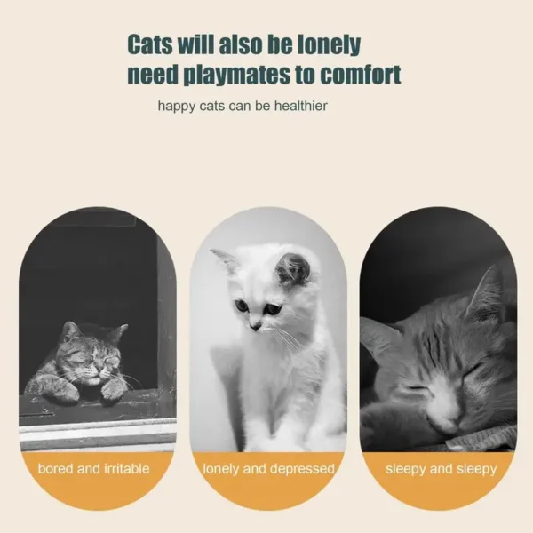 INTERACTIVE CAT FEATHER TOY – HOURS OF FUN FOR YOUR KITTY! - Image 4