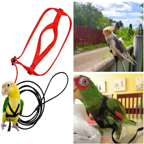 PARROT TRAINING FLYING LEASH - Image 6