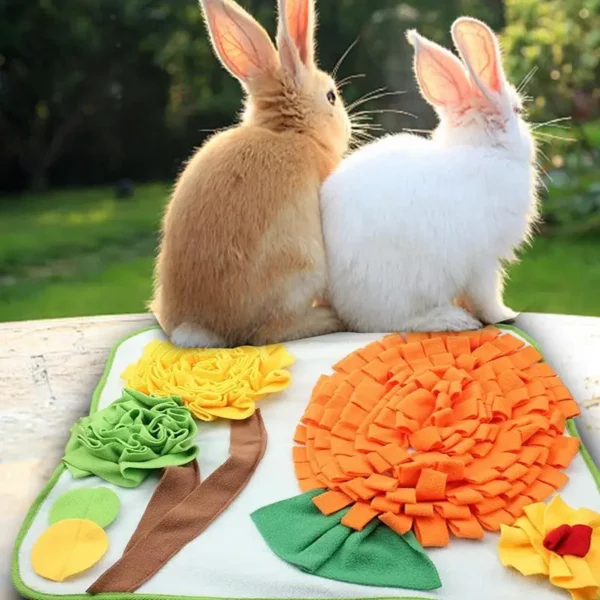 WASHABLE RABBIT FORAGING MAT