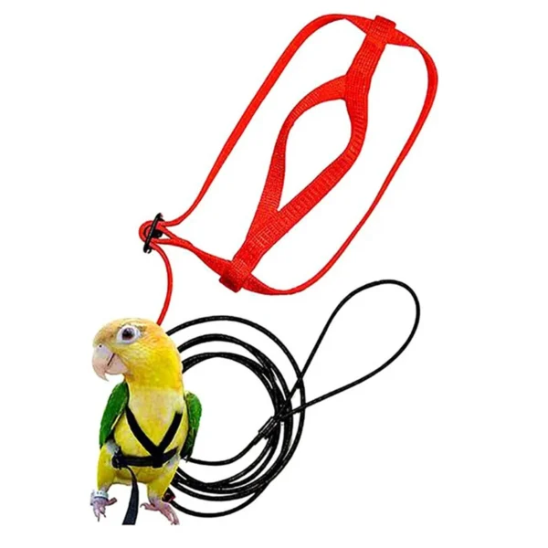 PARROT TRAINING FLYING LEASH - Image 5