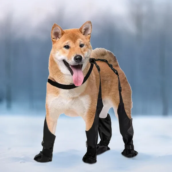 OUTDOOR DOG BOOT LEGGINGS – WATERPROOF PAW PROTECTION